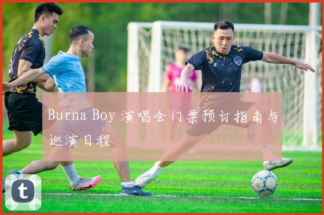 Burna Boy 演唱会门票预订指南与巡演日程