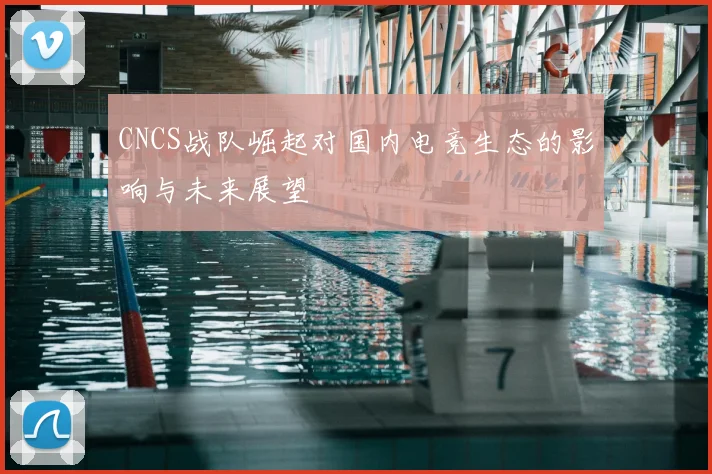 CNCS战队崛起对国内电竞生态的影响与未来展望