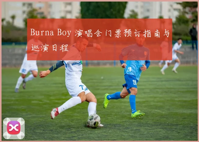 Burna Boy 演唱会门票预订指南与巡演日程
